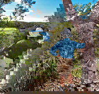 Corkwood and Scribbly Gum Walking Track - Accommodation Coffs Harbour