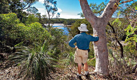 Corkwood And Scribbly Gum Walking Track - Accommodation Coffs Harbour 0