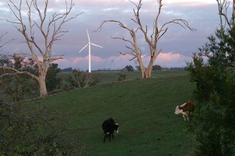 Crookwell Wind Farm - Accommodation Coffs Harbour 1