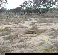 Culgoa Connellys Track - Accommodation Coffs Harbour