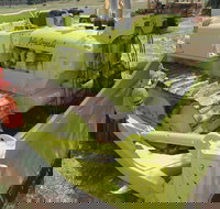 Dardanup Heritage Park - Accommodation Coffs Harbour