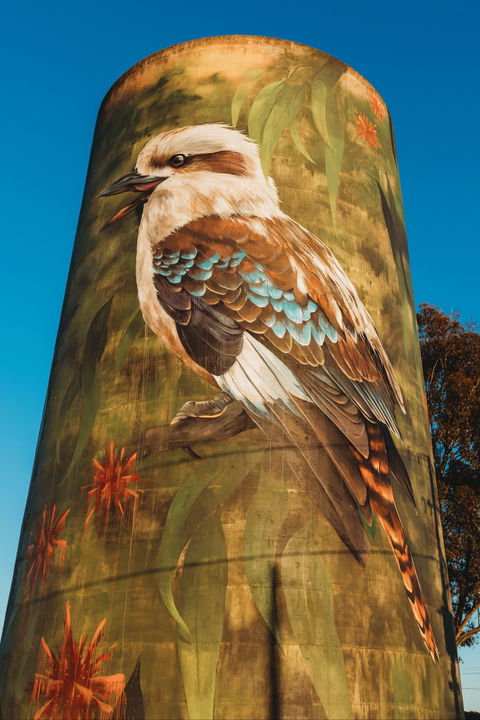 Deniliquin Water Tower Mural - Accommodation Coffs Harbour 0