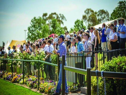 Dubbo Turf Club - Open With Races But No Spectators - Accommodation Coffs Harbour 1
