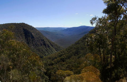 Escarpment Walk - Accommodation Coffs Harbour 0