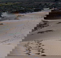 Foreshore Walk Mungo National Park - Accommodation Coffs Harbour