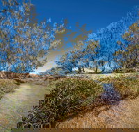 Freshwater Creek Track Byfield National Park - Accommodation Coffs Harbour