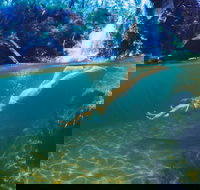 Glenreagh - Accommodation Coffs Harbour