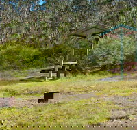 Gloucester Tops picnic area - Accommodation Coffs Harbour
