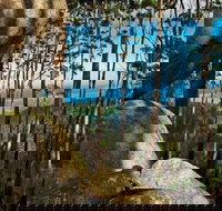 Gulaga Mountain Walk - Accommodation Coffs Harbour