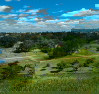 Hawkstowe Picnic Area - Accommodation Coffs Harbour