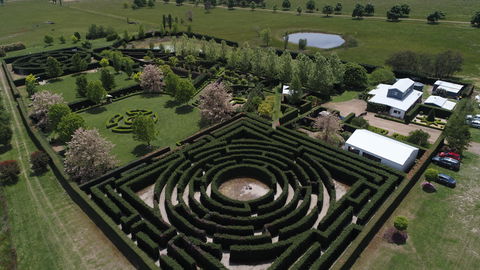 High Country Maze - Accommodation Coffs Harbour 0