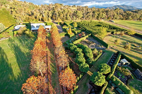 High Country Maze - Accommodation Coffs Harbour 1