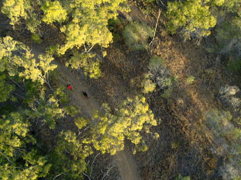 Hillview Drive Reserve - Accommodation Coffs Harbour 2