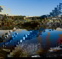 Kalgan River - Accommodation Coffs Harbour