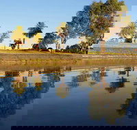 Lake Cargelligo - Accommodation Coffs Harbour