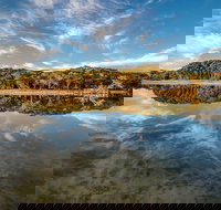 Lashmar Conservation Park - Accommodation Coffs Harbour