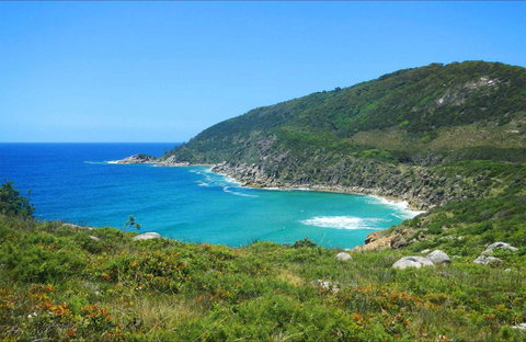 Little Bay Beach - Accommodation Coffs Harbour 0