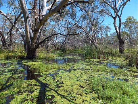 Macquarie Valley Trails - Accommodation Coffs Harbour 0