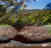 Marramarra Ridge to Smugglers Ridge walking track - Accommodation Coffs Harbour
