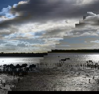 Marine Parade Hastings Foreshore Reserve Circuit - Cycling - Accommodation Coffs Harbour