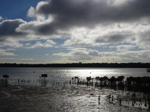 Marine Parade (Hastings Foreshore Reserve) Circuit - Cycling - Accommodation Coffs Harbour 0