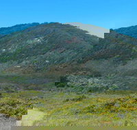 Monument Hill Walking Track - Accommodation Coffs Harbour