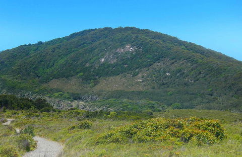 Monument Hill Walking Track - Accommodation Coffs Harbour 0