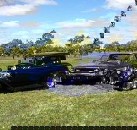 Moree Motor Enthusiasts - Accommodation Coffs Harbour
