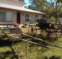Mr and Mrs Behan Sulky Display - Accommodation Coffs Harbour