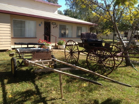 Mr And Mrs Behan Sulky Display - Accommodation Coffs Harbour 0