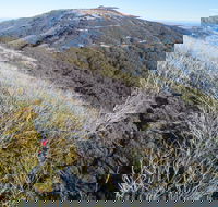 Mt Buller Bike Park - Accommodation Coffs Harbour