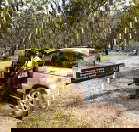 Murray Valley Regional Park - Accommodation Coffs Harbour