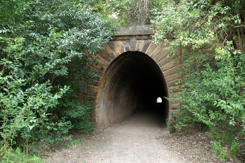 Mushroom Tunnel - Accommodation Coffs Harbour 0
