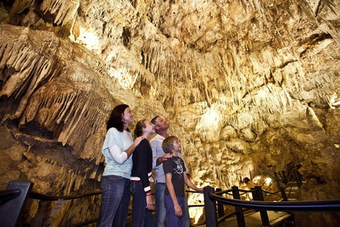 Ngilgi Cave - Accommodation Coffs Harbour 1