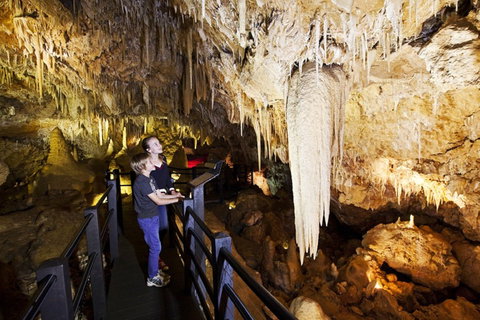 Ngilgi Cave - Accommodation Coffs Harbour 2