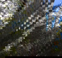 Northern Beaches - Accommodation Coffs Harbour