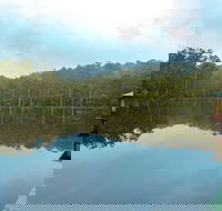 Pemberton - Accommodation Coffs Harbour