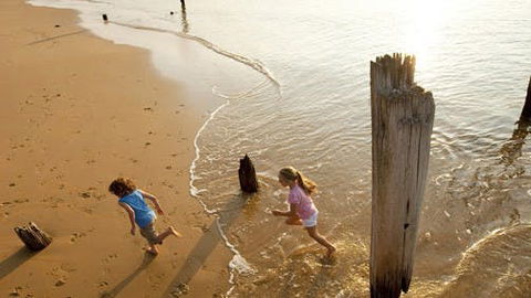 Phillip Island - Accommodation Coffs Harbour 0