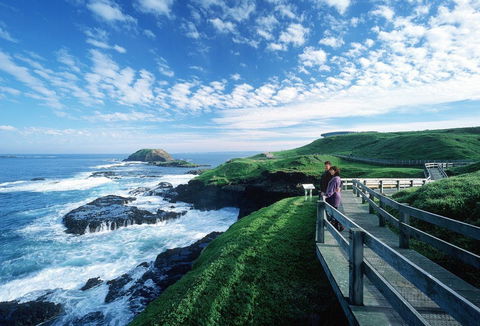 Phillip Island - Accommodation Coffs Harbour 1