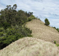 Pieries Peak Walking Track - Accommodation Coffs Harbour