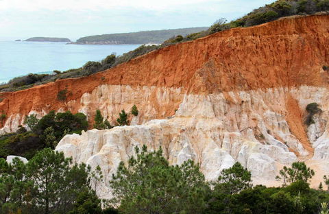 Pinnacles Loop Walking Track - Accommodation Coffs Harbour 0