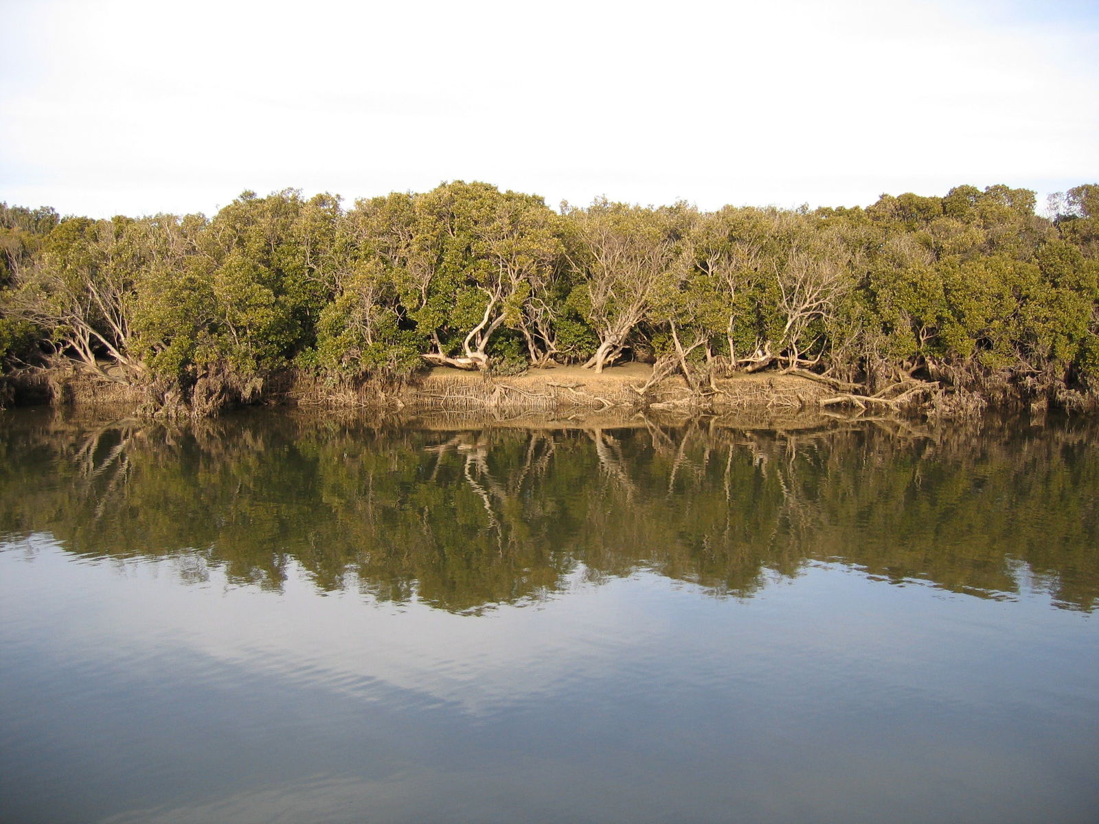 Port Clinton ACT Accommodation Coffs Harbour