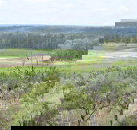 Princess Hills Girringun National Park - Accommodation Coffs Harbour