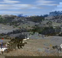 Rosebrook - Accommodation Coffs Harbour