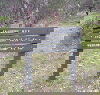Salisbury Falls Walk - Accommodation Coffs Harbour