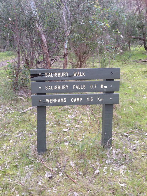 Salisbury Falls Walk - Accommodation Coffs Harbour 0