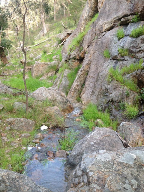 Salisbury Falls Walk - Accommodation Coffs Harbour 2