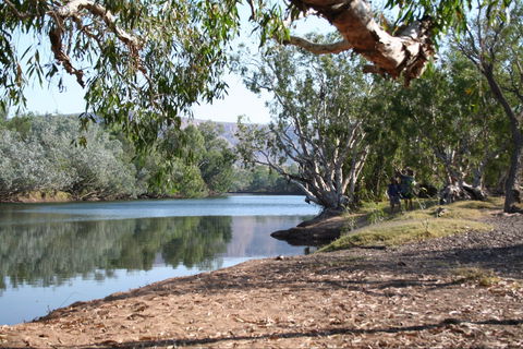 Silent Grove - Accommodation Coffs Harbour 0