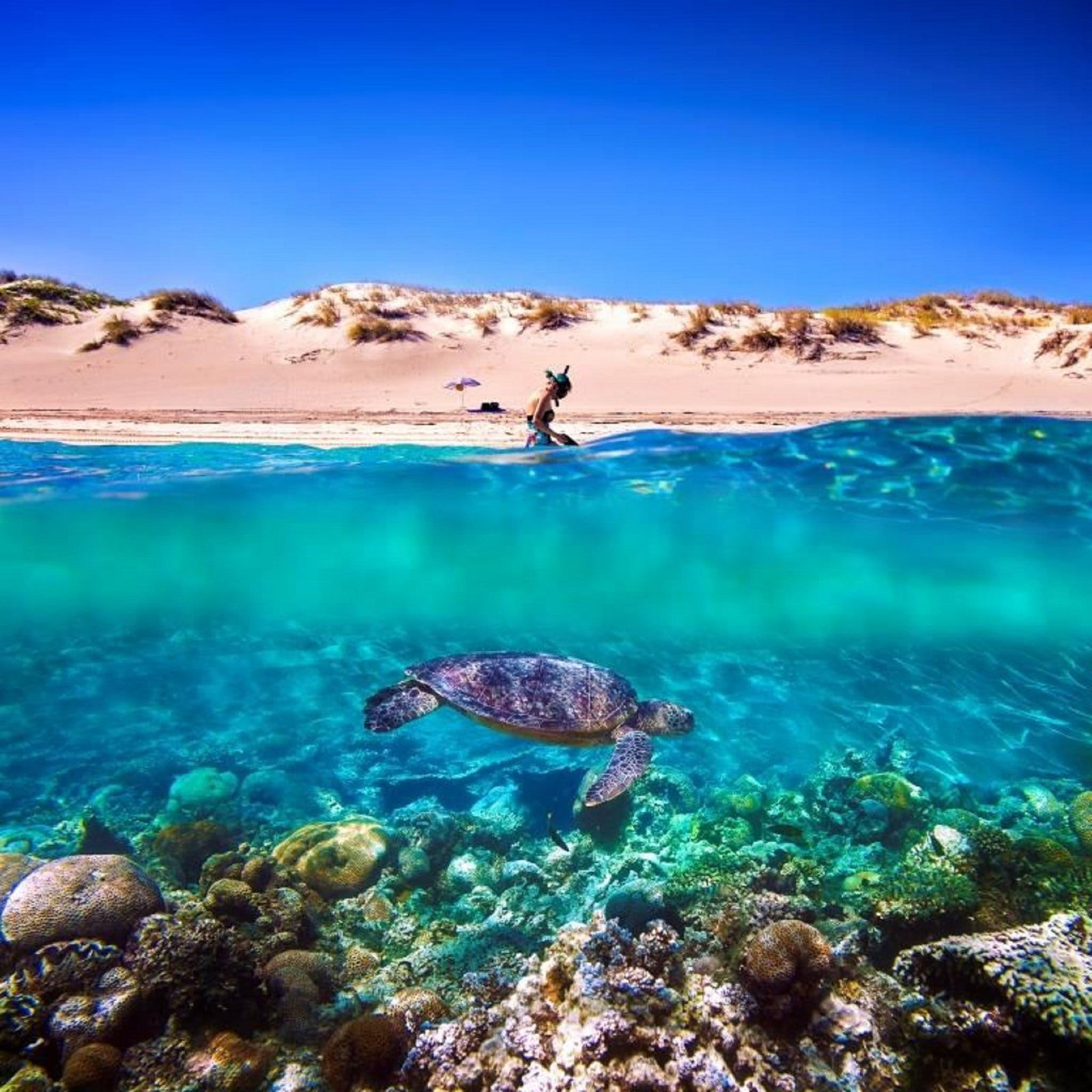 Cape Range National Park WA Accommodation Coffs Harbour