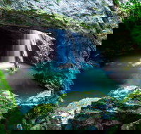 Springbrook - Accommodation Coffs Harbour